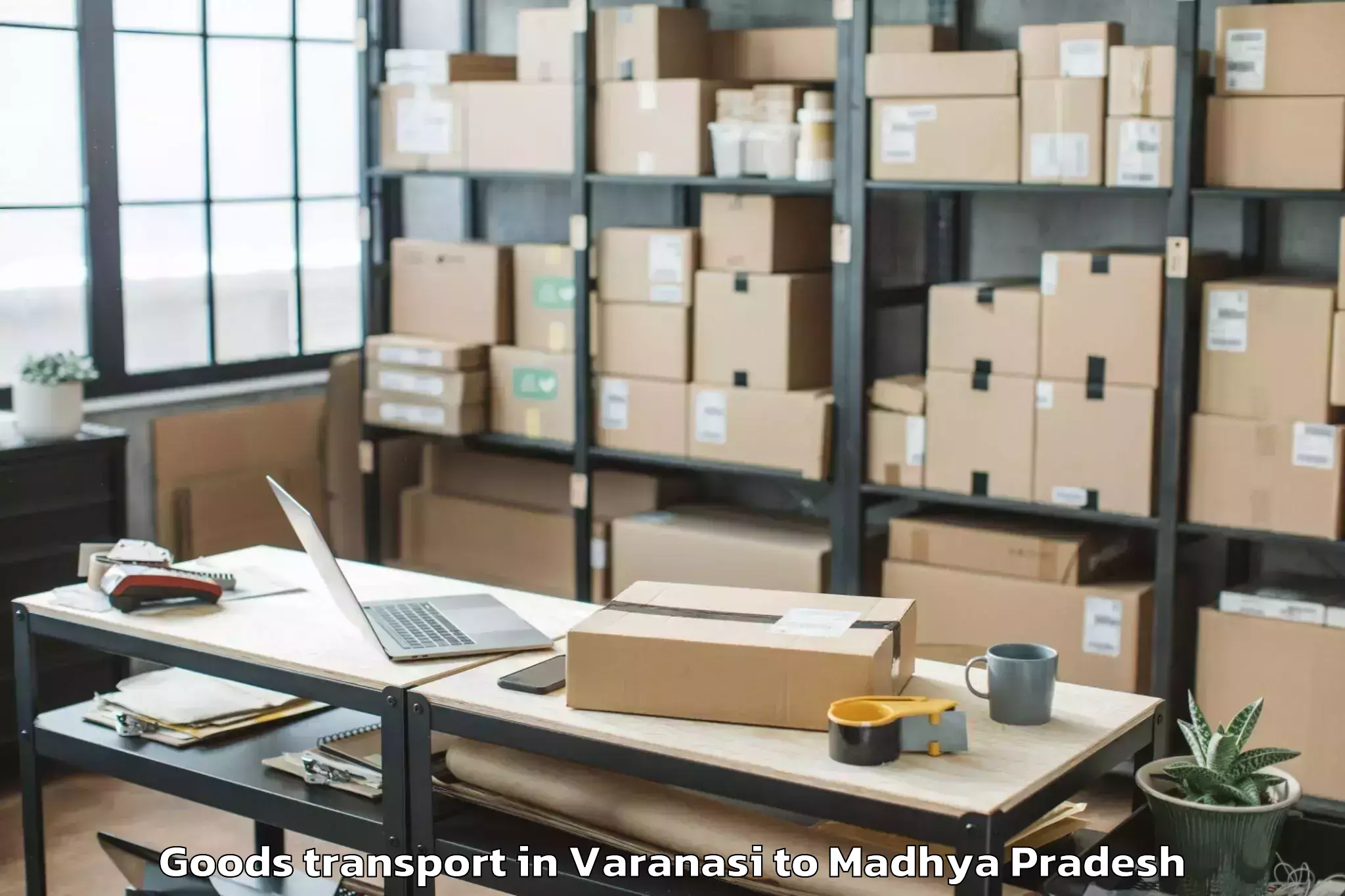 Trusted Varanasi to Mandav Goods Transport